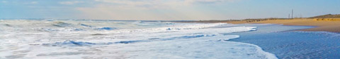 shore